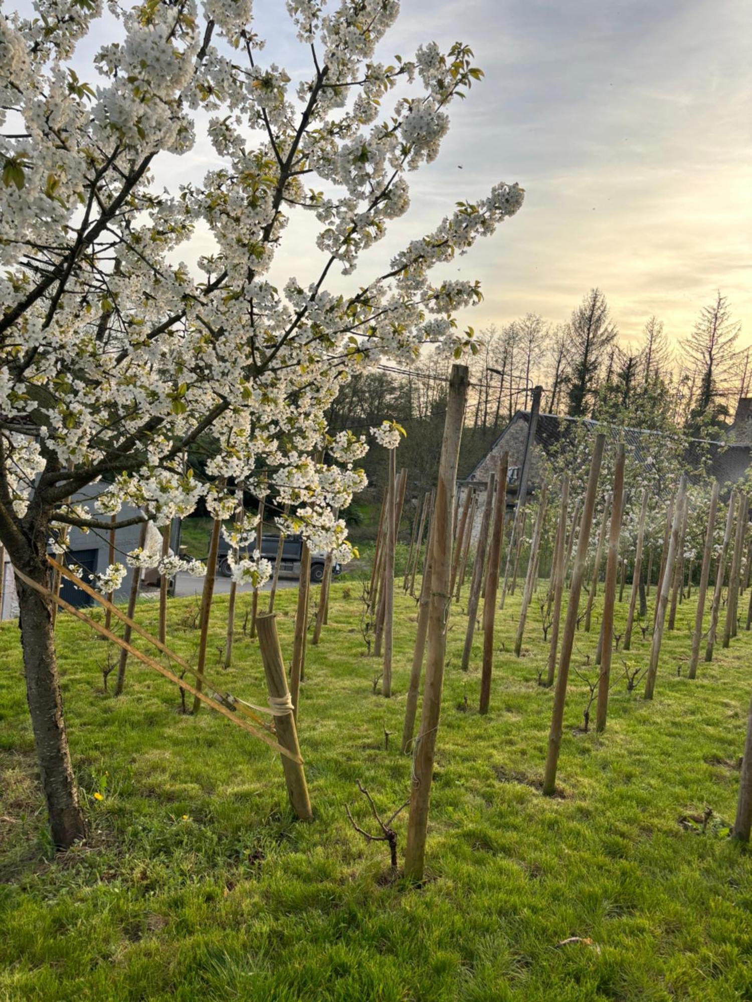 Le Gite Du Faubourg Sautour エクステリア 写真